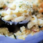 a close up of chicken cordon bleu mac and cheese on a spoon