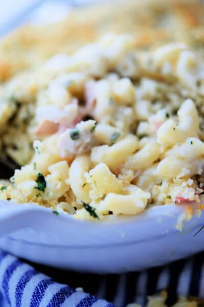 chicken cordon bleu mac and cheese in a white dish