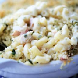a close up of mac and cheese with chicken and ham