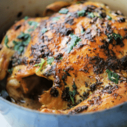 a close up of a whole chicken in a pot