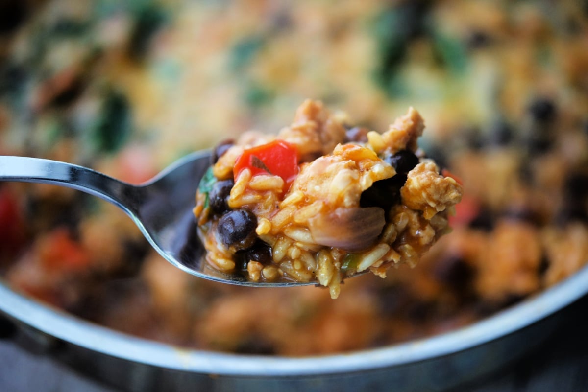 chicken and rice on spoon