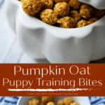 collage photo of puppy treats made with pumpkin and oats