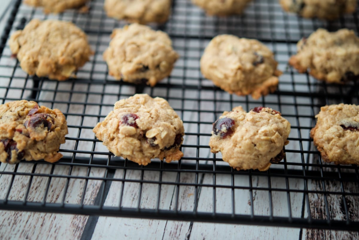 oatmeal cranberry mini cookies on a black cooling rack