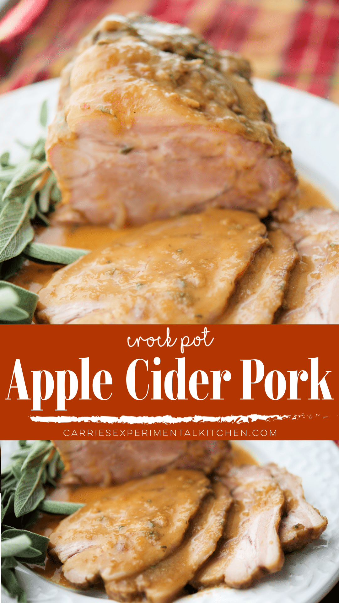 crock-pot-apple-cider-pork-carrie-s-experimental-kitchen