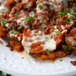 a close up of sweet potato fries on a white plate