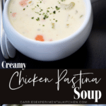 collage photo of chicken pastina soup