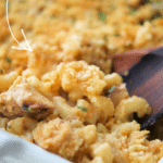 bbq chicken macaroni and cheese in a white baking dish