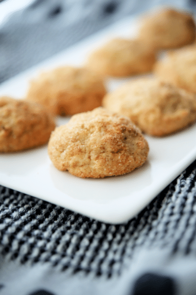 apple snickerdoodles lined up on a white plate