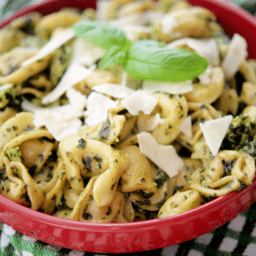 a red bowl with chicken pesto tortellini
