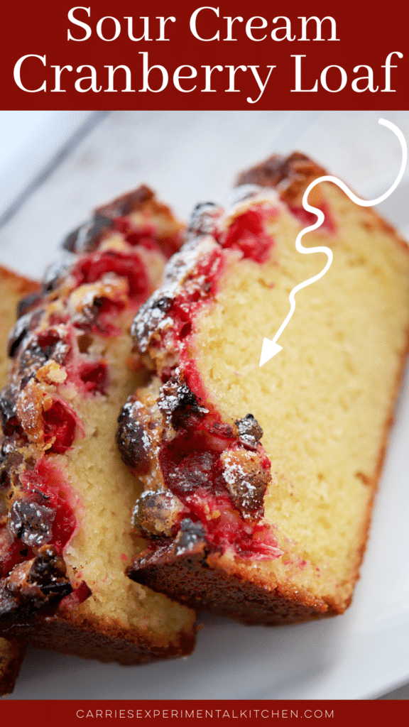 two slices of cranberry loaf bread on a white plate