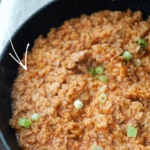 chicken and rice sloppy joe skillet