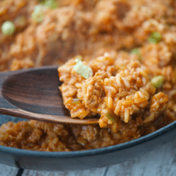 a close up of chicken and rice sloppy joes in a skillet