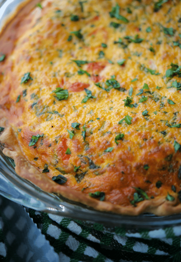 tomato caprese quiche in a pie dish